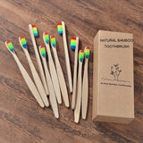 Eco Friendly Bamboo Toothbrush